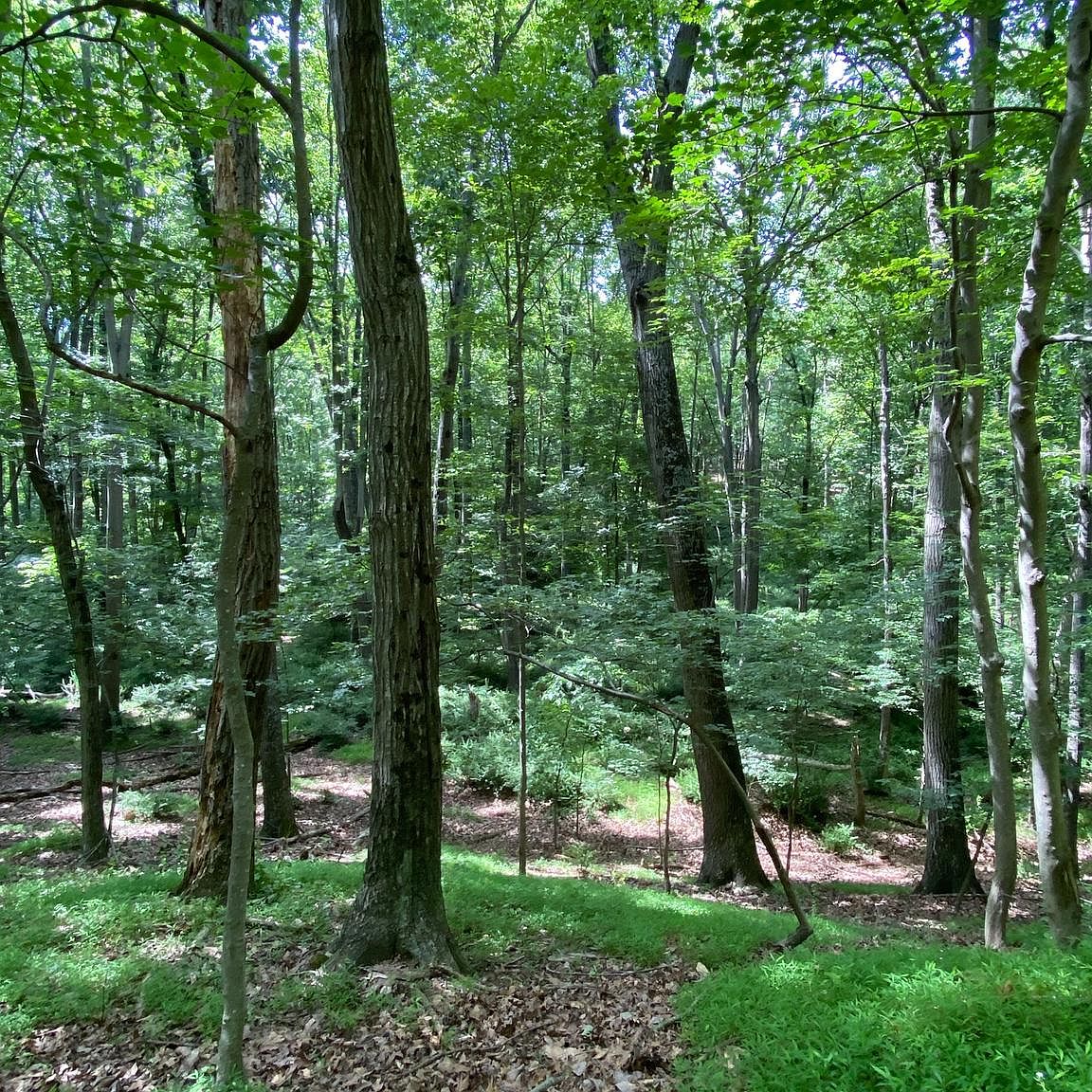 Bear Branch Rd, Westminster, MD 21157 MLS MDCR2000297 Zillow