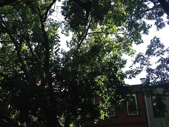 3rd image of 522 W 159th St APT 1B