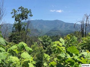 969 Wiley Oakley Dr, Gatlinburg, TN 37738