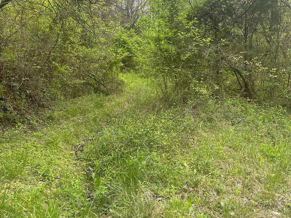 2nd image of LOT 6 Talley Rd