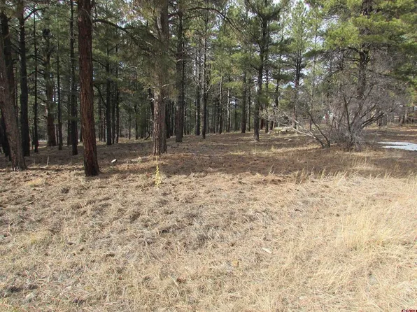 424 Antelope Avenue, Pagosa Springs, CO 81147