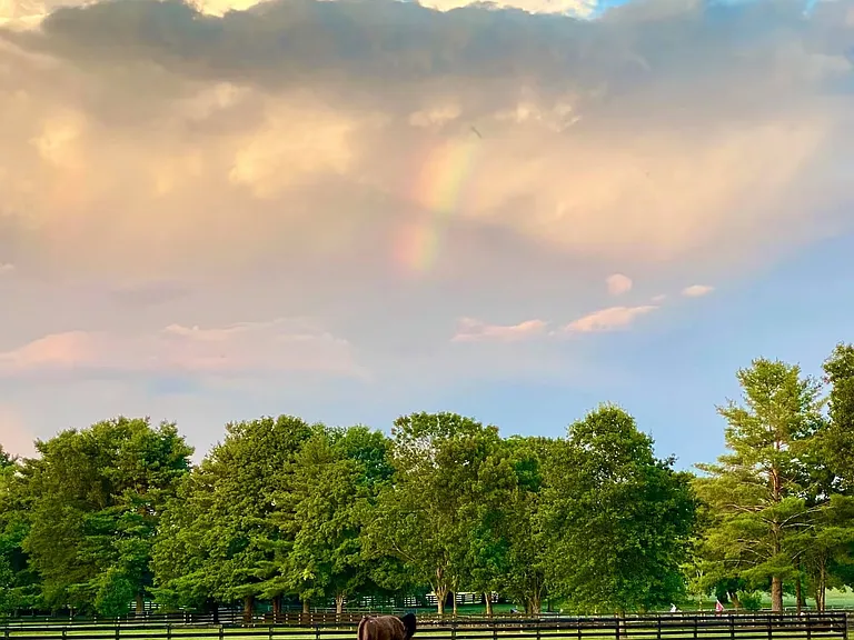 Located on an idyllic horse farm in Franklin.