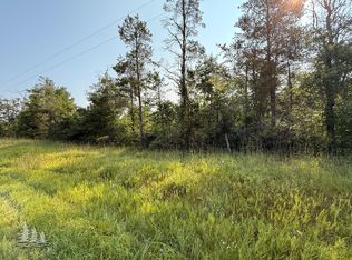 V/l County Rd #489, Lewiston, MI 49756