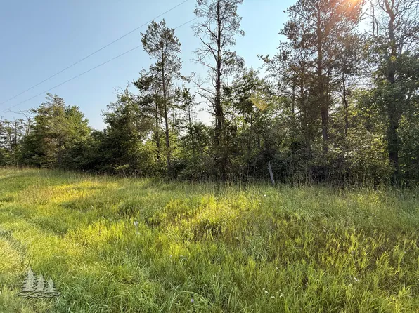 V/l County Rd #489, Lewiston, MI 49756
