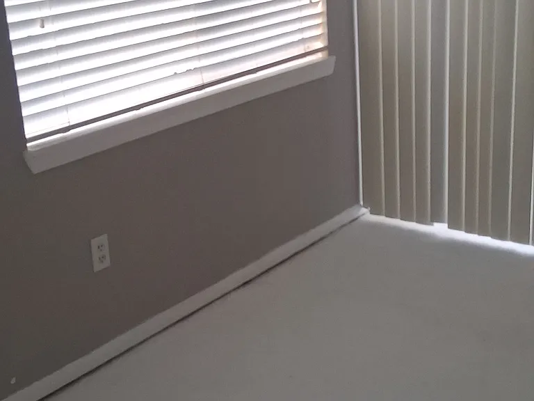 2524 Lakeway Branch Dr #3208 — Photo 2