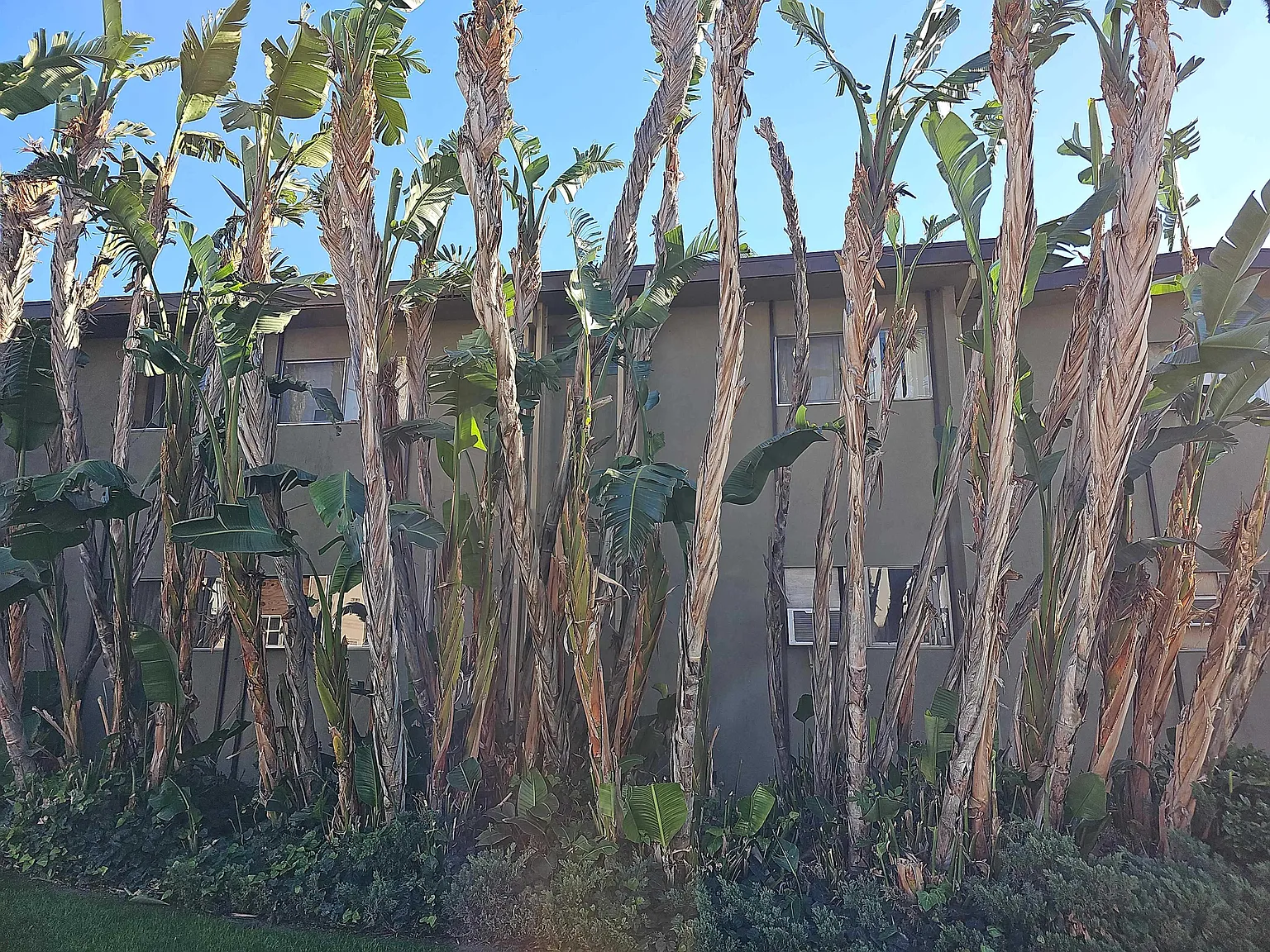 1 bed, $1,925 — Photo 2