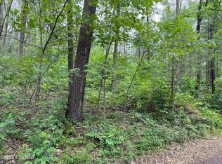 Nittany Mountain Rd, New Columbia, PA 17856