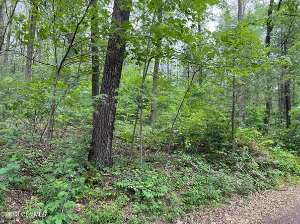 Nittany Mountain Rd, New Columbia, PA 17856