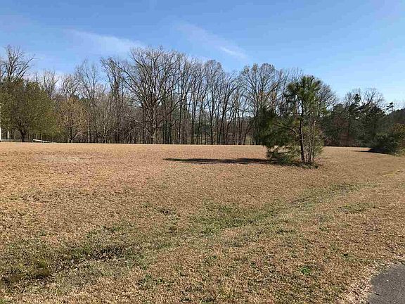 3rd image of 54 Mountain Laurel Pl Lot 54
