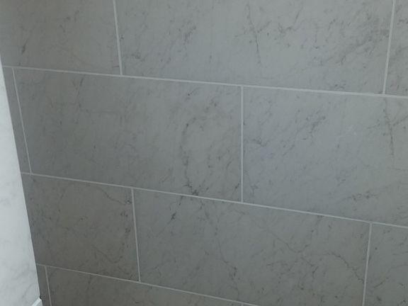 Master shower updated 2017