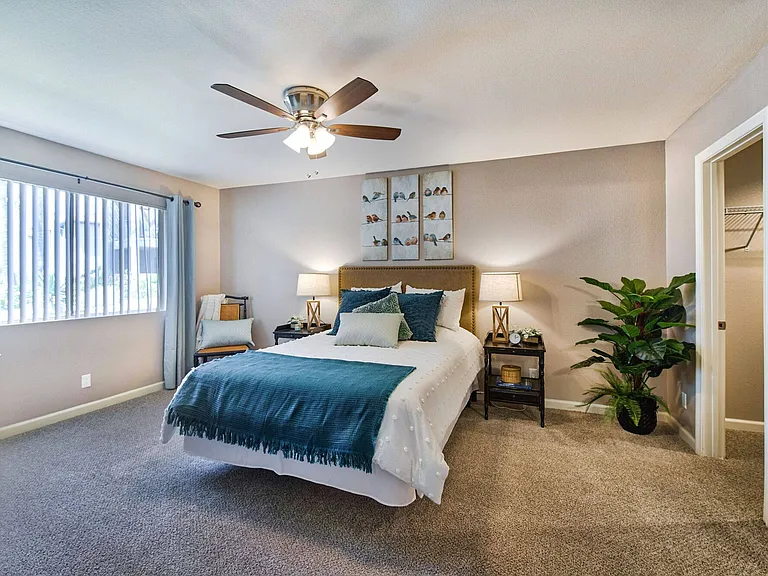Primary Bedroom + Closet