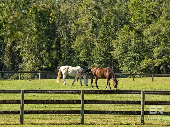 27233 Shoemaker Rd, Andalusia, AL 36421
