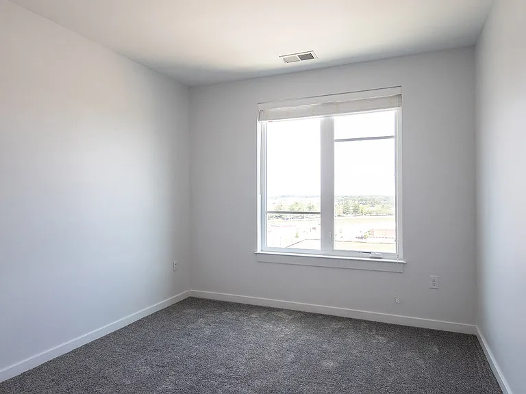Windows in master bedroom