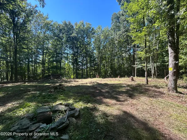262 Victory Ln, Dalton, PA 18414