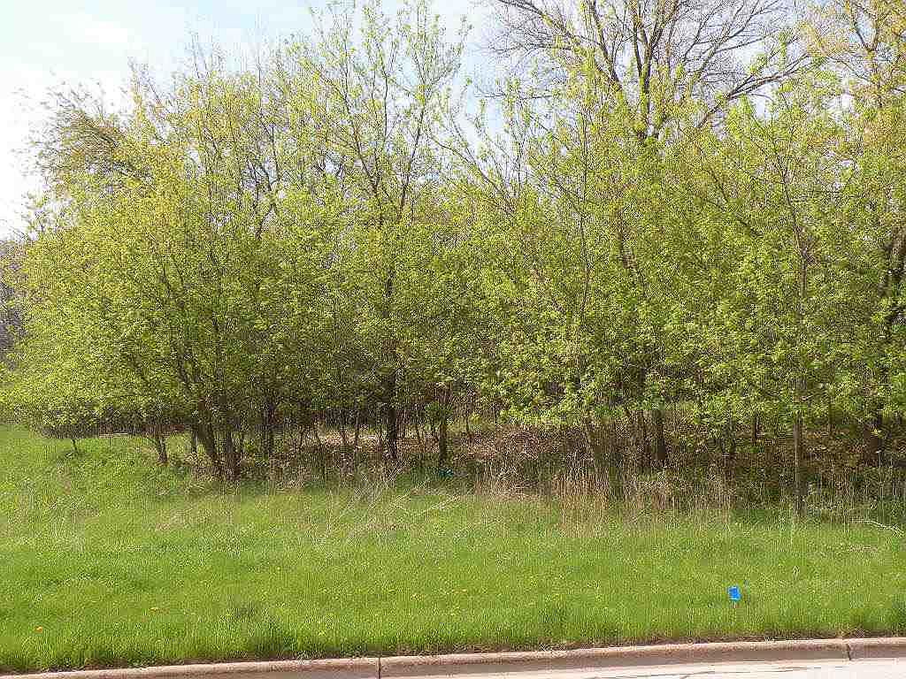 Lots 9 & 10 Stoney Ridge Road LOT 9, 10, Ripon, WI 54971 MLS 1952530