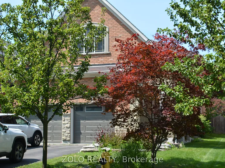 Portia St — Photo 1
