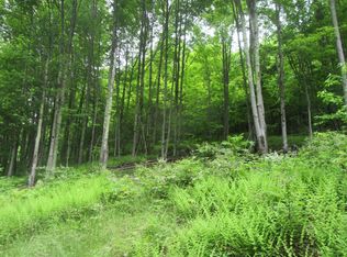 Dingle Hill Rd, Andes, NY 13731