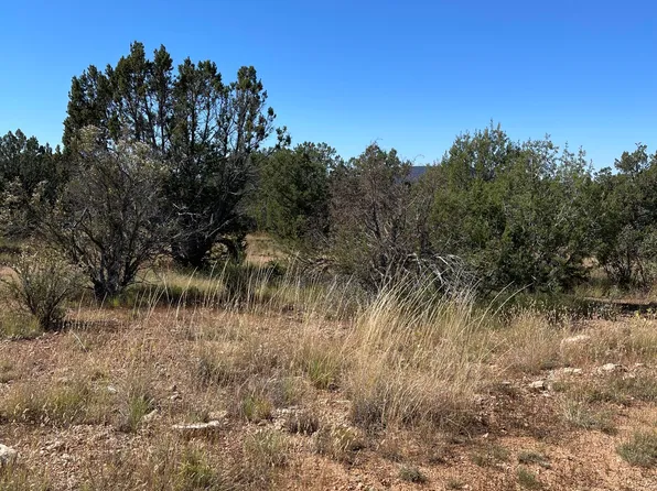 34280 W La Plancha Pkwy, Seligman, AZ 86337