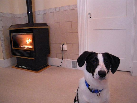 Gas Fireplace