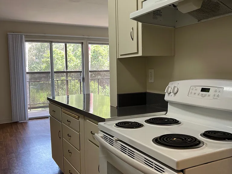 10 Mulberry Court — Photo 29