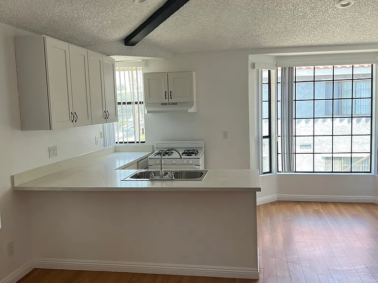 10234 Tujunga Canyon Blvd #301 — Photo 3