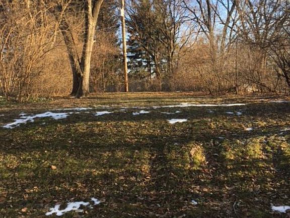 Beautiful, private yard.