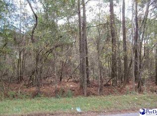 251 Wallace St, Lake City, SC 29560