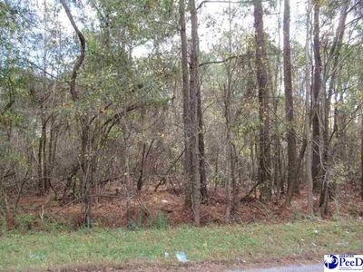251 Wallace St, Lake City, SC, 29560