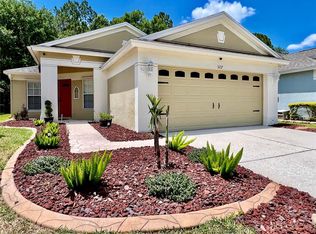 5217 Gato Del Sol Cir, Wesley Chapel, FL 33544