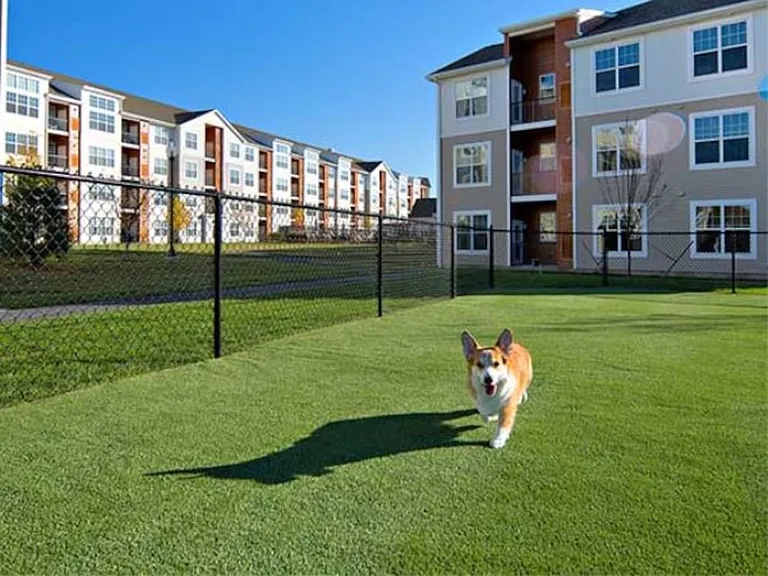 Phase I WAG Pet Park