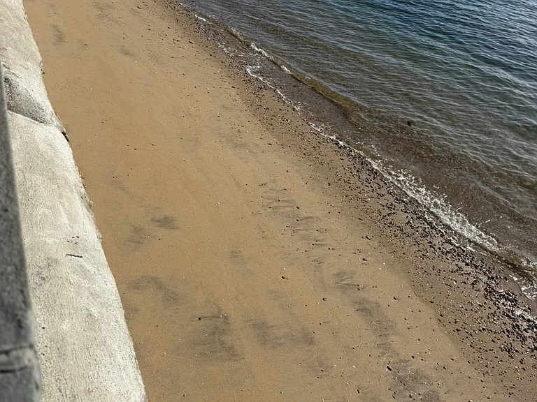 25 W Shore Dr — Photo 10