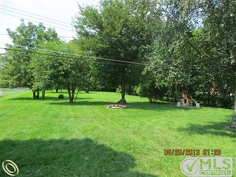 Back Yard(Paradise).jpg