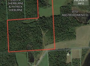 5613 County Line Rd, Willet, NY 13863