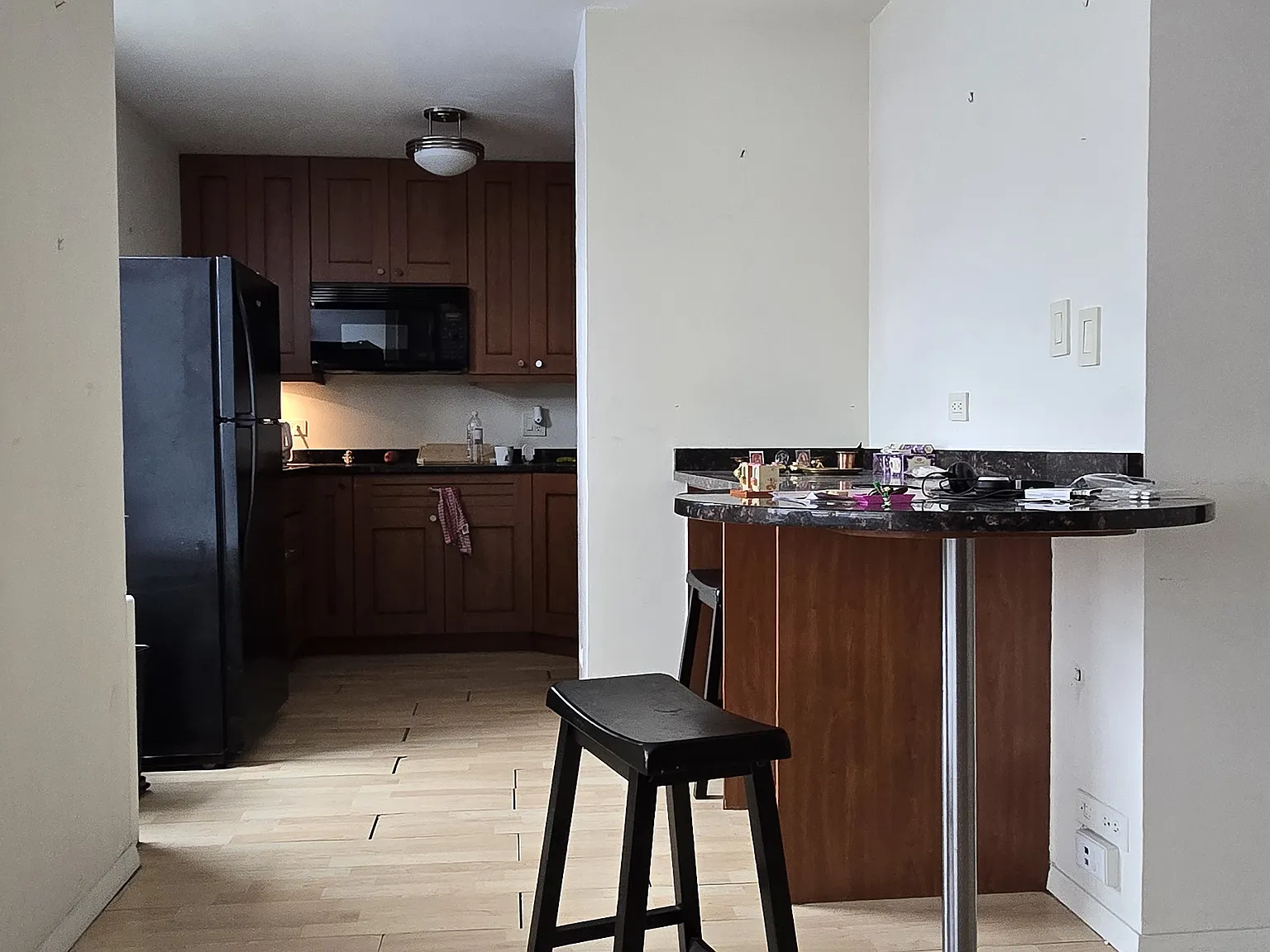 Studio, 550 sqft, $1,500 — Photo 3