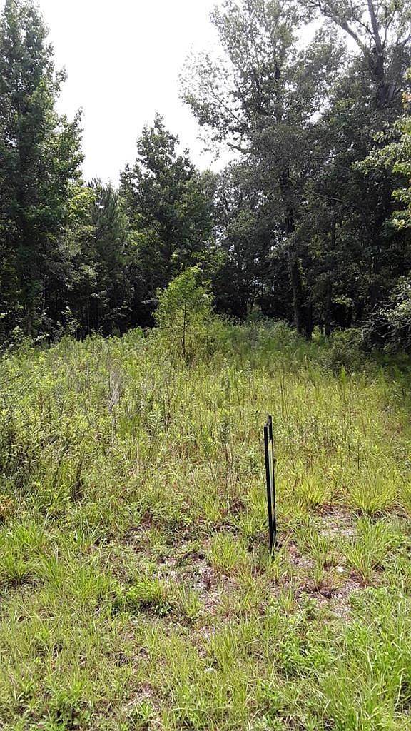 8110 Old Flomaton Rd, Century, FL 32535 Zillow