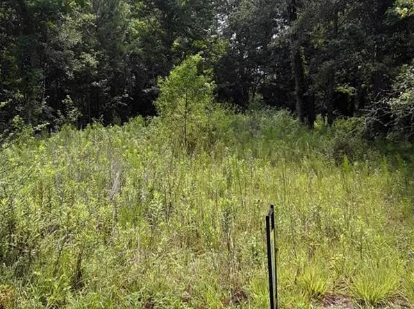 8110 Old Flomaton Rd, Century, FL 32535