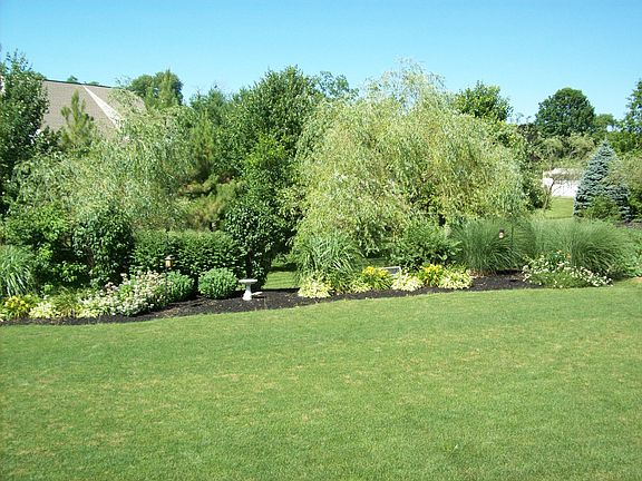 view from deck