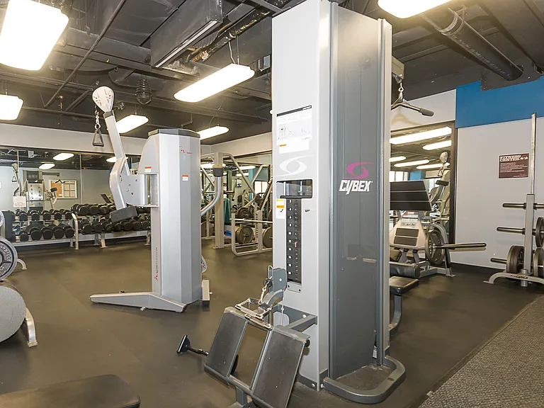 OP free weight area_05082025