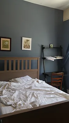 Rented by Urban Pads | media 2