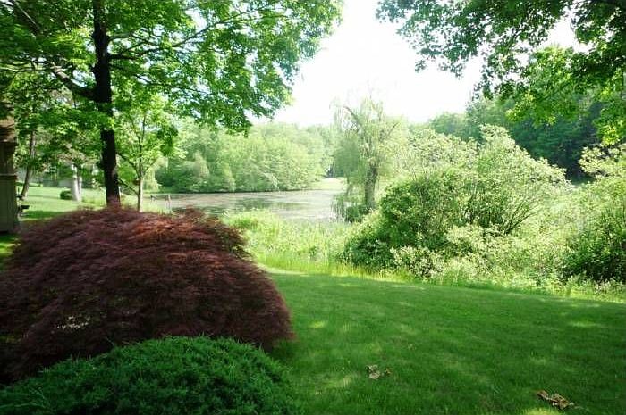 Pond view
