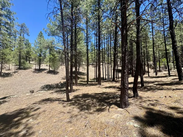 3230 Hopi Dr, Happy Jack, AZ 86024