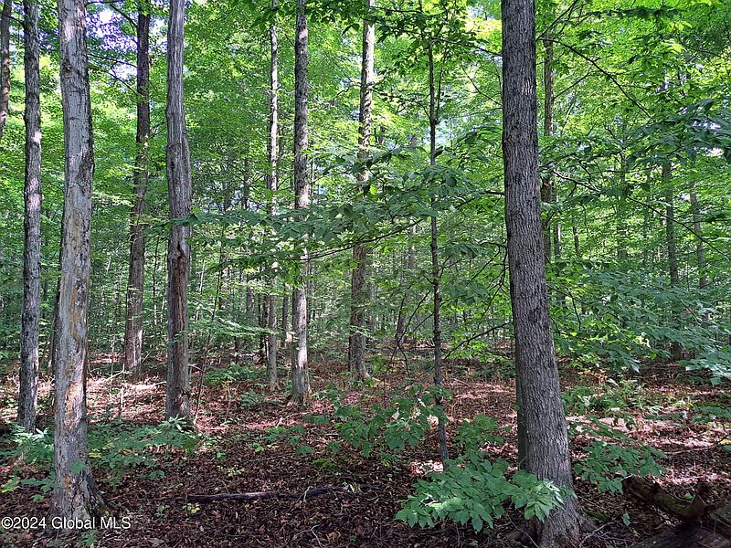 2nd image of L72.141 Consaul Road