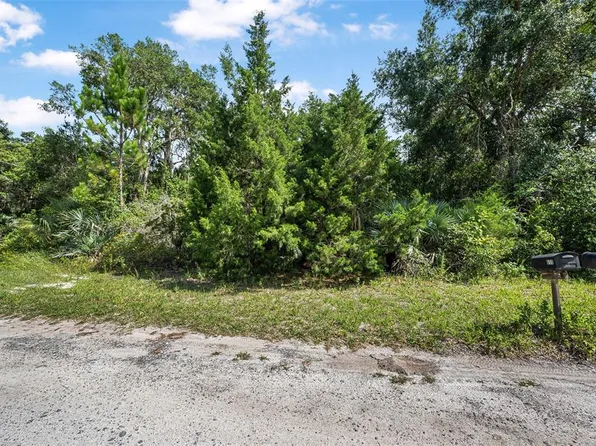 0 Street Name Lot 13, Oak Hill, FL 32759