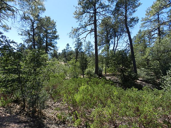 3rd image of 2310 E Yerba Serita