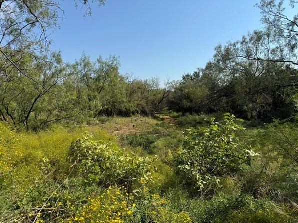 0 Silver Loop Rd, Robert Lee, TX 76945