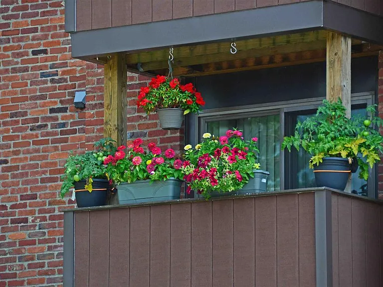 RH Balcony Gardening Photo DSC_2573as_edited-1