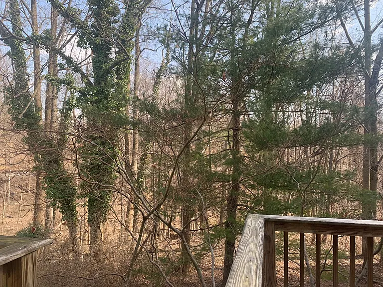 19117 Grotto Ln — Photo 39