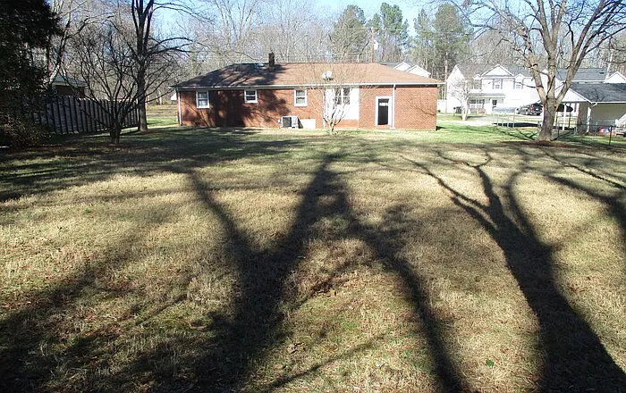 2 bed, 1.0 bath, $1,350 — Photo 2