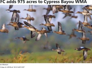 3108 & 3116 Cocklebur Rd, Ward, AR 72176