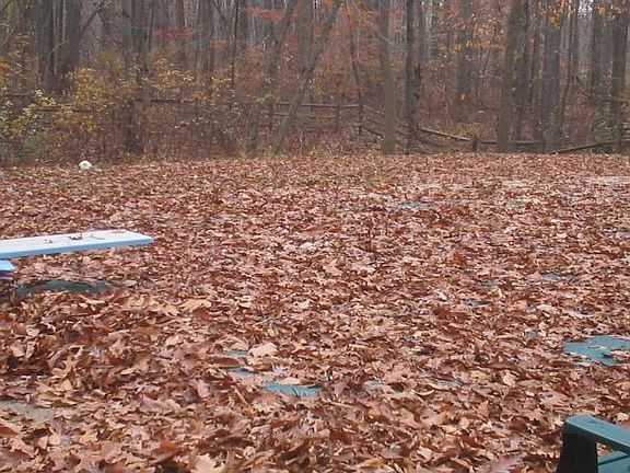 Time to Rake